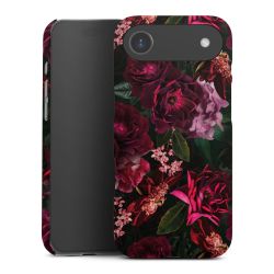 Dunkelrote und rosa Blüten