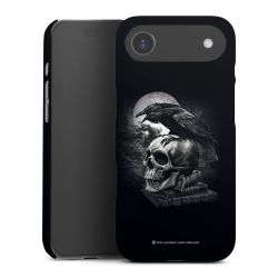 Poe's Raven