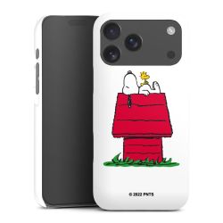 Snoopy and Woodstock Klassisch