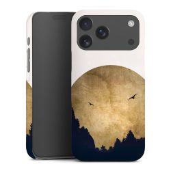 Twee vogels en de maan