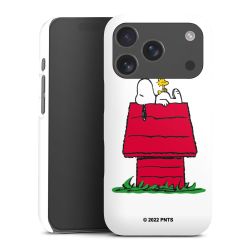 Snoopy and Woodstock Klassisch