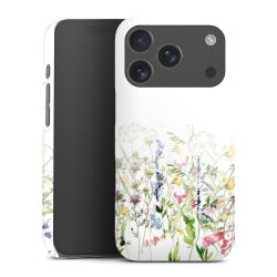 Kleurrijke lente weide bloemen