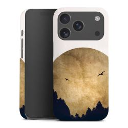 Twee vogels en de maan