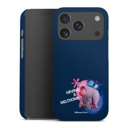 Premium Case matt