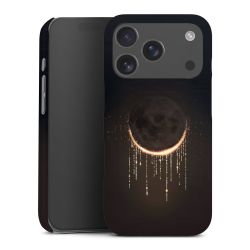 Verduistering