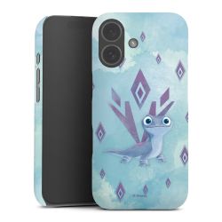 Premium Skyddskal matt