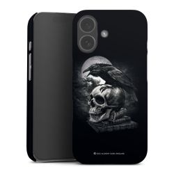 Poe's Raven