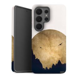 Twee vogels en de maan