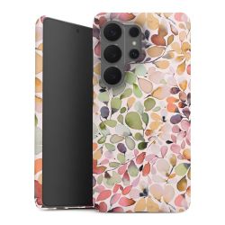 Feuillu Nature Campagne Eucalyptus