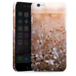 Premium Skyddskal matt