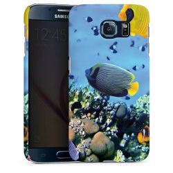 Premium Skyddskal blank