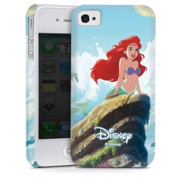 Premium Skyddskal blank