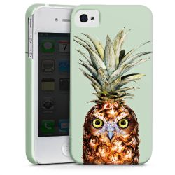 Hibou de l'ananas