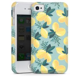 Premium Skyddskal blank