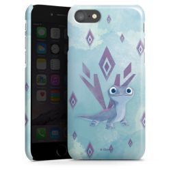 Premium Skyddskal blank