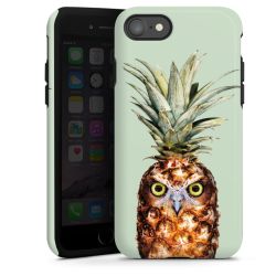Hibou de l'ananas