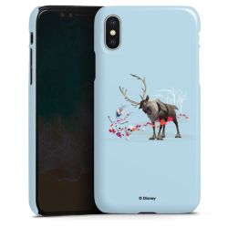 Premium Skyddskal blank