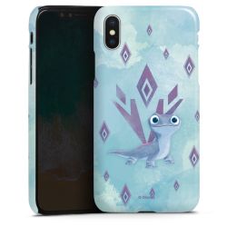 Premium Skyddskal blank