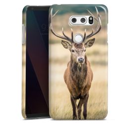 Premium Case glossy