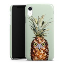 Pineapple Owl