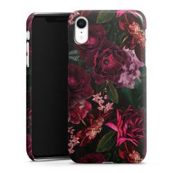 Dunkelrote und rosa Blüten