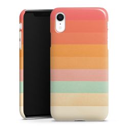 Regenboog Chevrons II