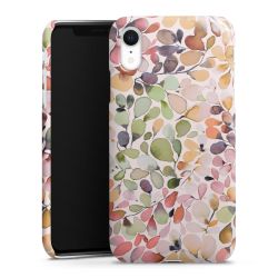 Feuillu Nature Campagne Eucalyptus