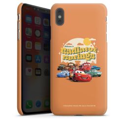 Premium Skyddskal matt