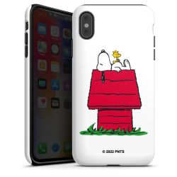 Snoopy and Woodstock Klassisch
