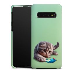 Premium Case matt