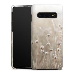 Premium Skyddskal matt