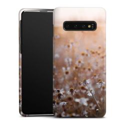 Premium Skyddskal matt