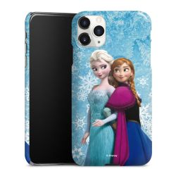 Premium Skyddskal blank