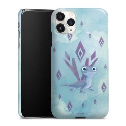 Premium Skyddskal blank