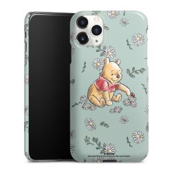 Winnie the Pooh Daisy and Bug Love