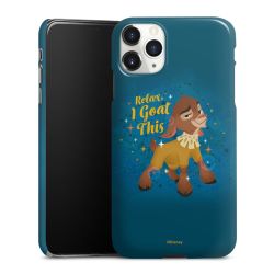 Premium Skyddskal blank