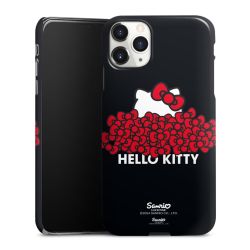 Premium Case glänzend