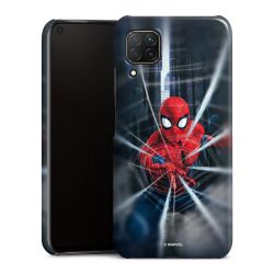 Spider-Man Webs In Action