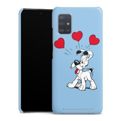 Premium Case glänzend