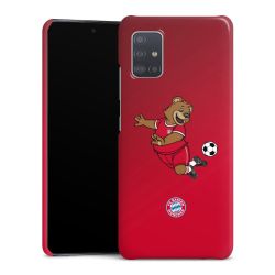 Premium Case glänzend