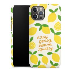 Easy Peasy Lemon Queezy