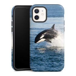 Suojakuori Plus kiiltävä