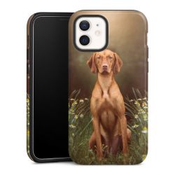 Suojakuori Plus kiiltävä