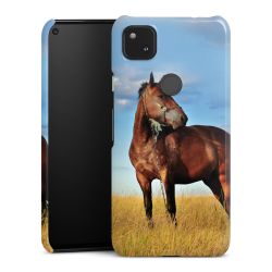 Premium Case glänzend