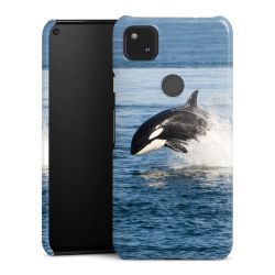 Premium Case glänzend