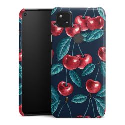 Premium Case glänzend