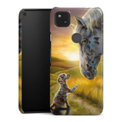 Premium Case glänzend