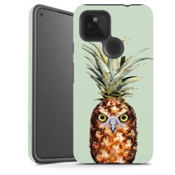 Ananas Kauz
