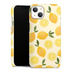 Premium Case matt