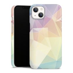 Premium Skyddskal blank